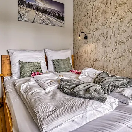 Apartamenty Belle View - Centrum - By Royal Aparts Szklarska Poręba Zewnętrze zdjęcie